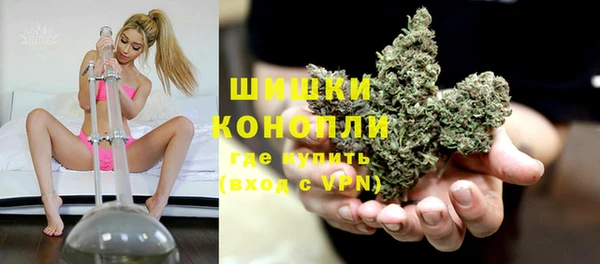 стаф Корсаков