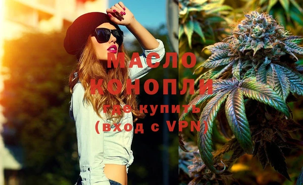 стаф Корсаков