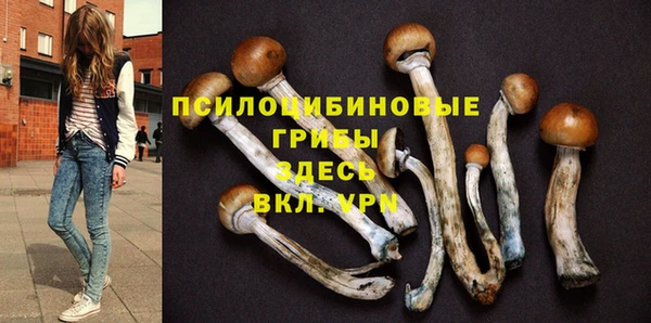 герыч Осинники