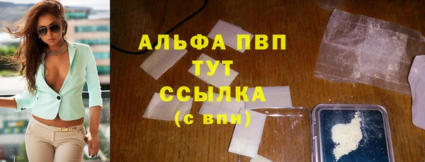 стаф Корсаков