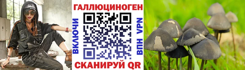 Галлюциногенные грибы Magic Shrooms  Сковородино 
